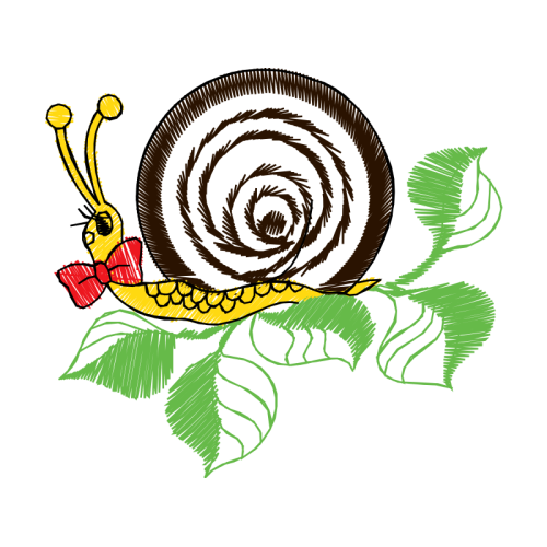 Garden Roses Flowers Garden Roses Flowers