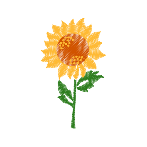 Garden Roses Flowers Garden Roses Flowers