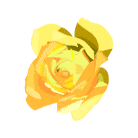 Garden Roses Flowers Garden Roses Flowers