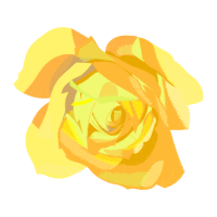 Garden Roses Flowers Garden Roses Flowers