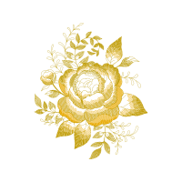 Garden Roses Flowers Garden Roses Flowers