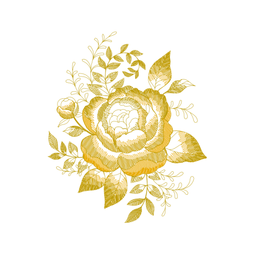 Garden Roses Flowers Garden Roses Flowers