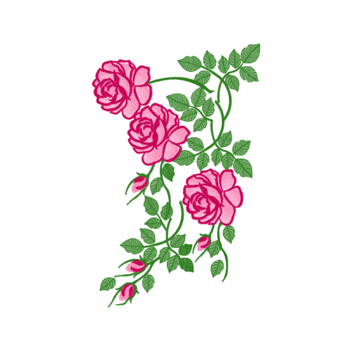Garden Roses Flowers Garden Roses Flowers