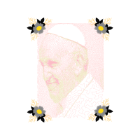 Garden Roses Flowers Garden Roses Flowers