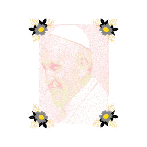 Garden Roses Flowers Garden Roses Flowers