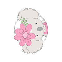 Garden Roses Flowers Garden Roses Flowers