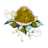 Garden Roses Flowers Garden Roses Flowers