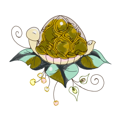 Garden Roses Flowers Garden Roses Flowers