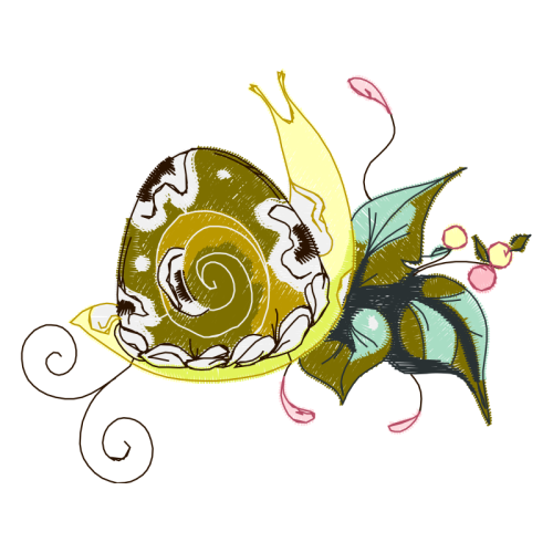 Garden Roses Flowers Garden Roses Flowers