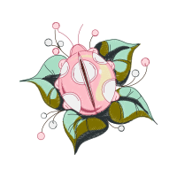 Garden Roses Flowers Garden Roses Flowers