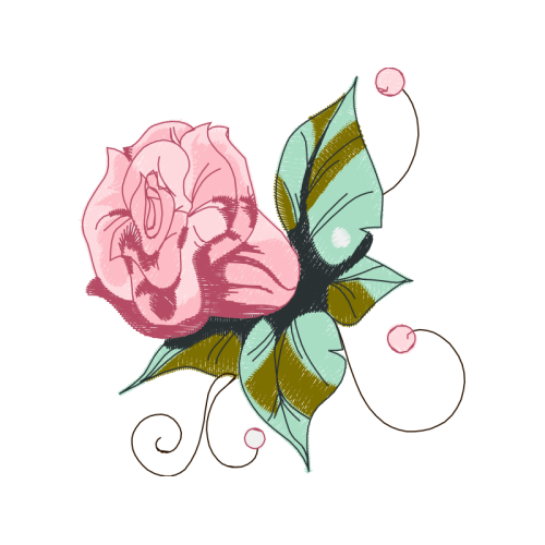 Garden Roses Flowers Garden Roses Flowers