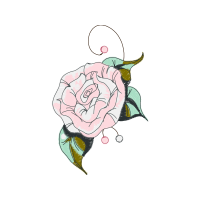 Garden Roses Flowers Garden Roses Flowers