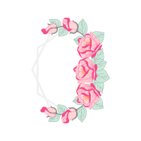 Garden Roses Flowers Garden Roses Flowers