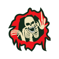 Garden Roses Flowers