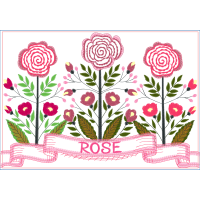 Garden Roses Flowers