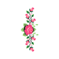 Garden Roses Flowers