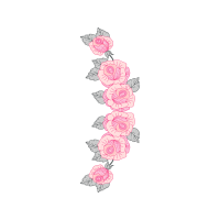 Garden Roses Flowers