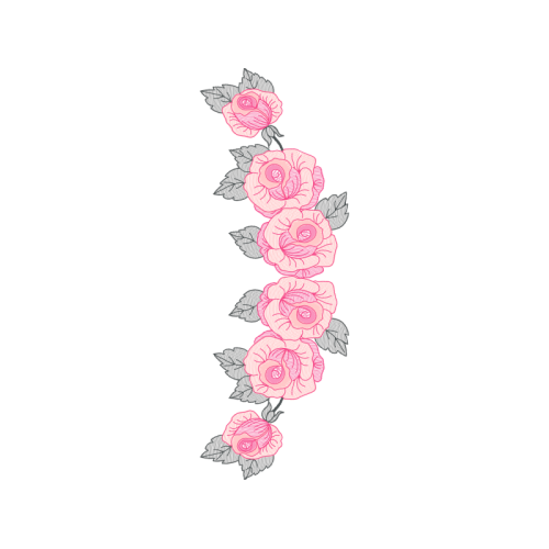 Garden Roses Flowers Garden Roses Flowers