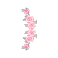 Garden Roses Flowers