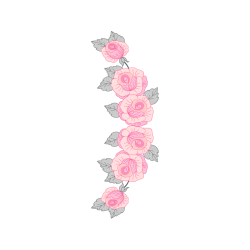 Garden Roses Flowers Garden Roses Flowers