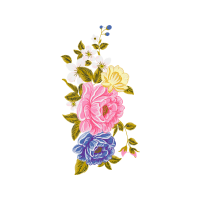 Garden Roses Flowers