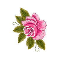 Garden Roses Flowers Garden Roses Flowers