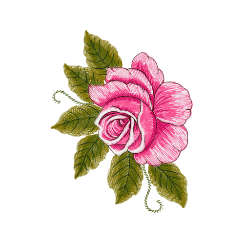 Garden Roses Flowers Garden Roses Flowers