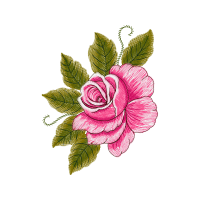 Garden Roses Flowers Garden Roses Flowers