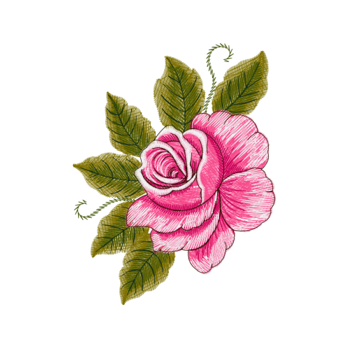 Garden Roses Flowers Garden Roses Flowers