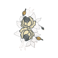 Garden Roses Flowers Garden Roses Flowers