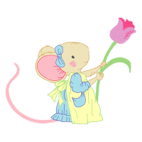 Garden Roses Flowers