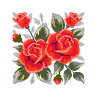 Garden Roses Flowers