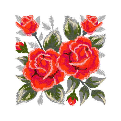 Garden Roses Flowers Garden Roses Flowers