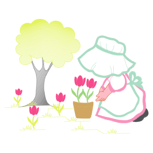 Garden Roses Flowers Garden Roses Flowers