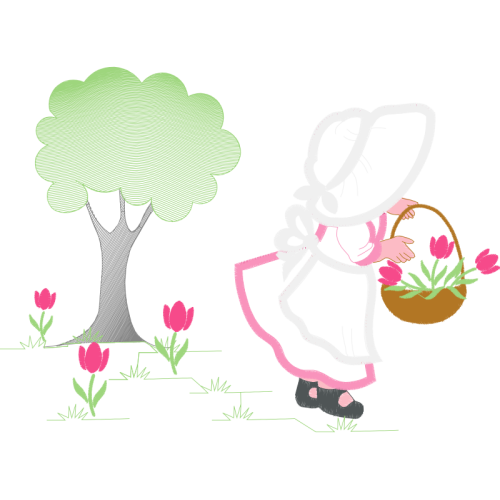 Garden Roses Flowers Garden Roses Flowers