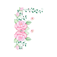 Garden Roses Flowers Garden Roses Flowers