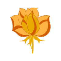 Garden Roses Flowers Garden Roses Flowers