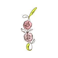 Garden Roses Flowers Garden Roses Flowers