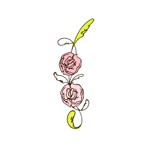 Garden Roses Flowers Garden Roses Flowers