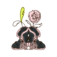 Garden Roses Flowers