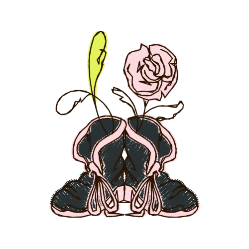 Garden Roses Flowers Garden Roses Flowers