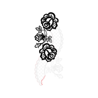 Garden Roses Flowers Garden Roses Flowers