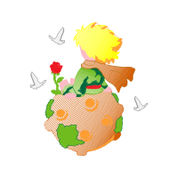 Garden Roses Flowers Garden Roses Flowers