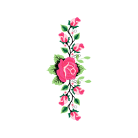 Garden Roses Flowers Garden Roses Flowers