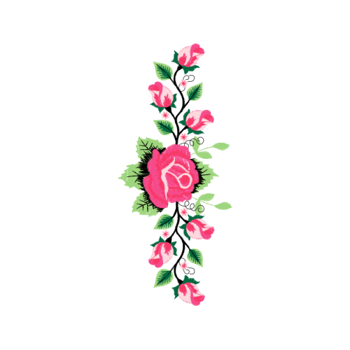 Garden Roses Flowers Garden Roses Flowers