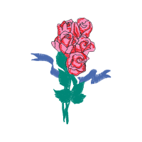 Garden Roses Flowers