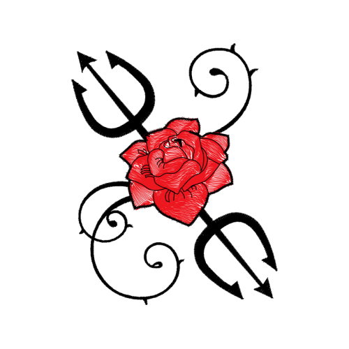 Garden Roses Flowers Garden Roses Flowers