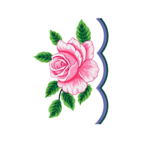 Garden Roses Flowers