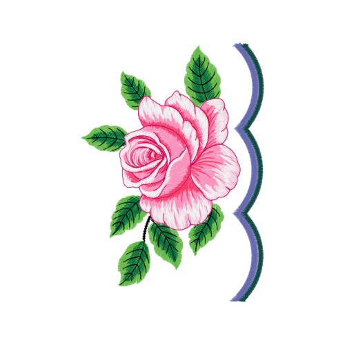 Garden Roses Flowers Garden Roses Flowers