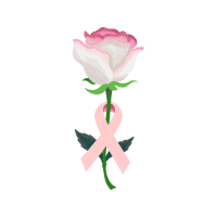 Garden Roses Flowers Garden Roses Flowers